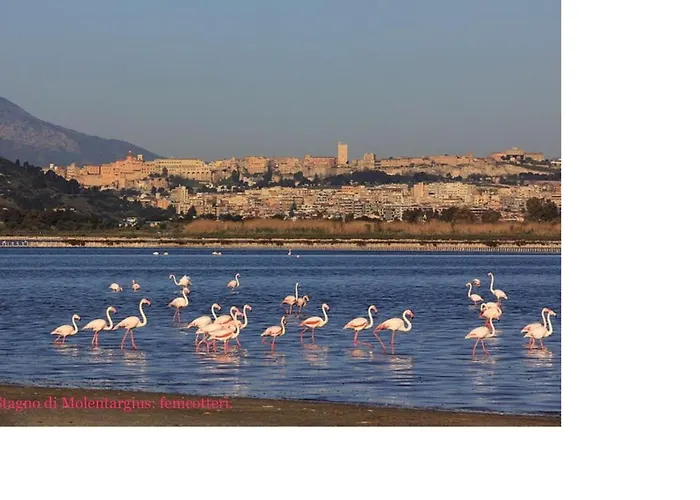 Sardinia Holidays - Domus Patrizia